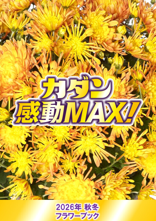2026 秋冬 カダンフラワーブック