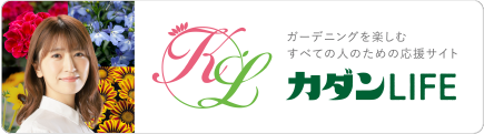 カダンLIFE